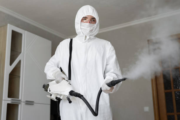 Best Forensic Mold Investigation  in Warren, MN